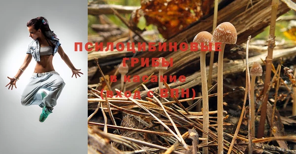 соль ск Зерноград