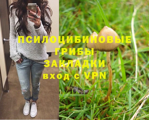 хмурый Зеленодольск