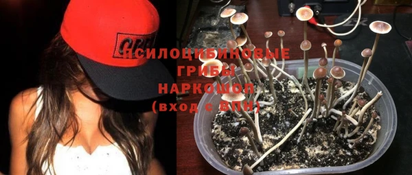 соль ск Зерноград